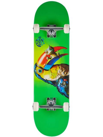 Toucan Fade | Complete | 8.25"