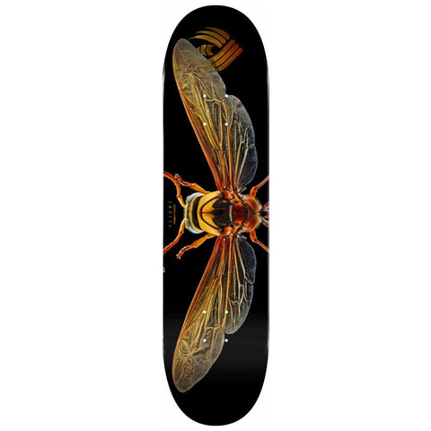Flight Deck Potter Wasp | Deck | 8.0"